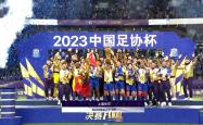 关于申花主场取胜，稳固联赛前八名位置的信息